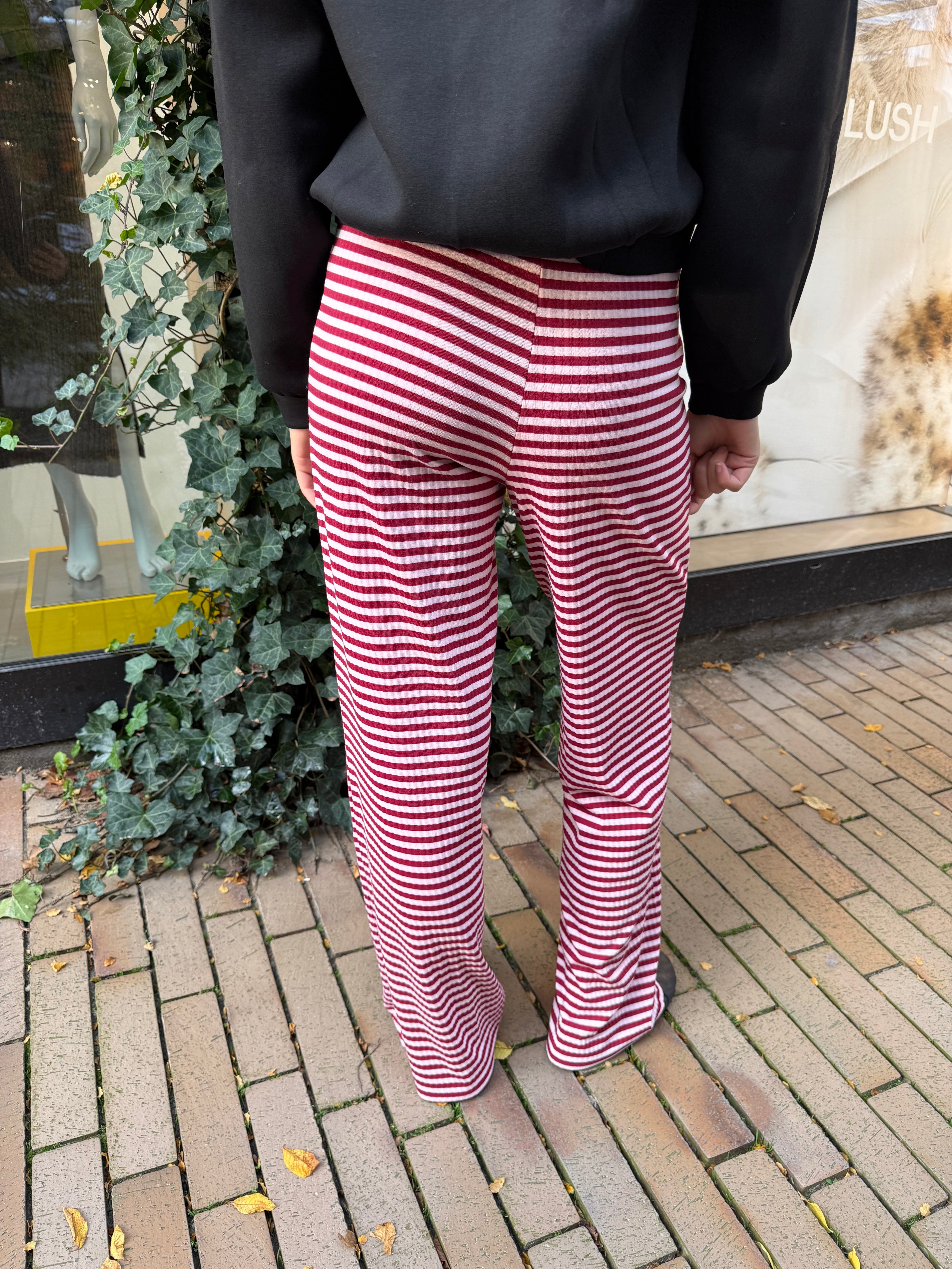 PCLAYA Trousers - Goji Berry